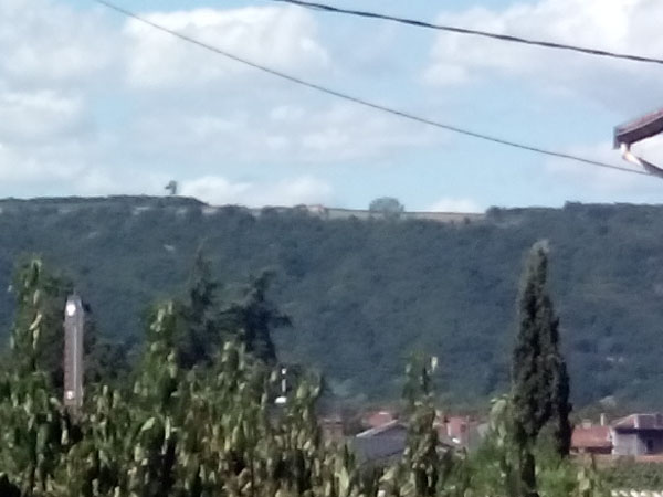 l'arbre et le bosquet